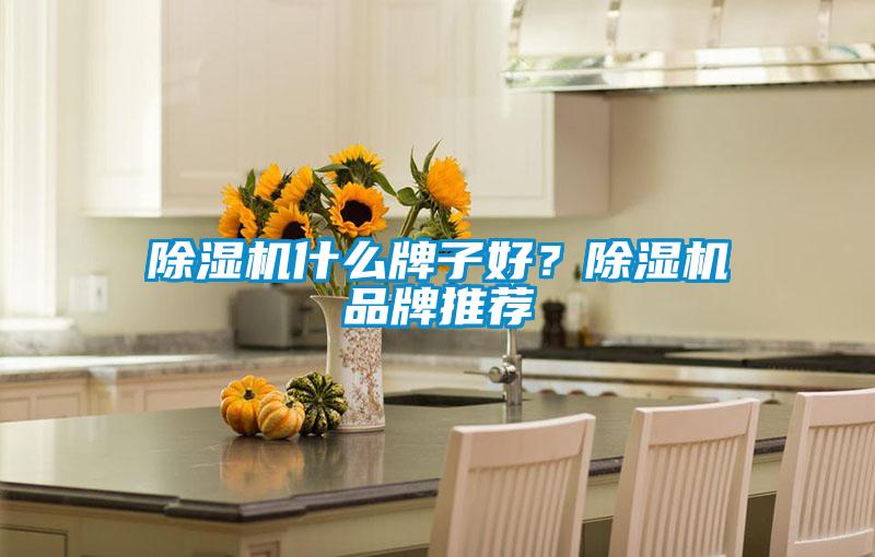 除濕機什么牌子好？除濕機品牌推薦