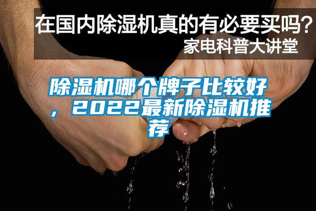 除濕機哪個牌子比較好，2022最新除濕機推薦