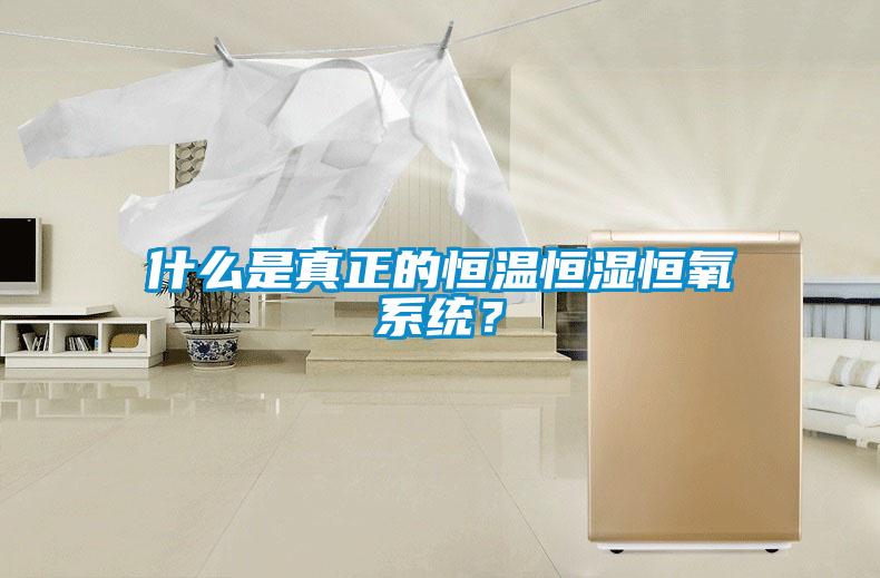 什么是真正的恒溫恒濕恒氧系統(tǒng)？