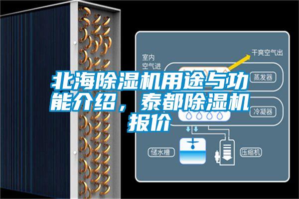 北海除濕機用途與功能介紹，泰都除濕機報價