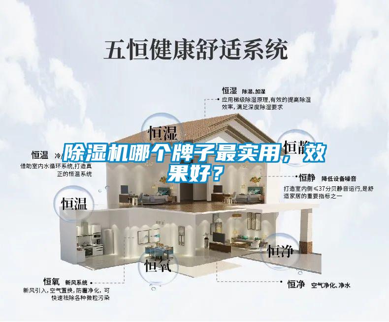 除濕機哪個牌子最實用，效果好？