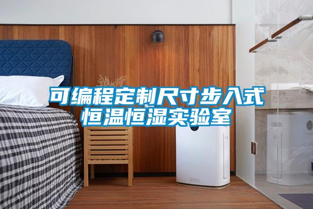 可編程定制尺寸步入式恒溫恒濕實驗室