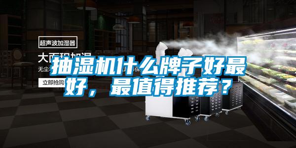 抽濕機什么牌子好最好，最值得推薦？