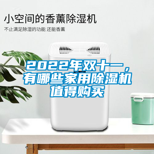 2022年雙十一，有哪些家用除濕機值得購買