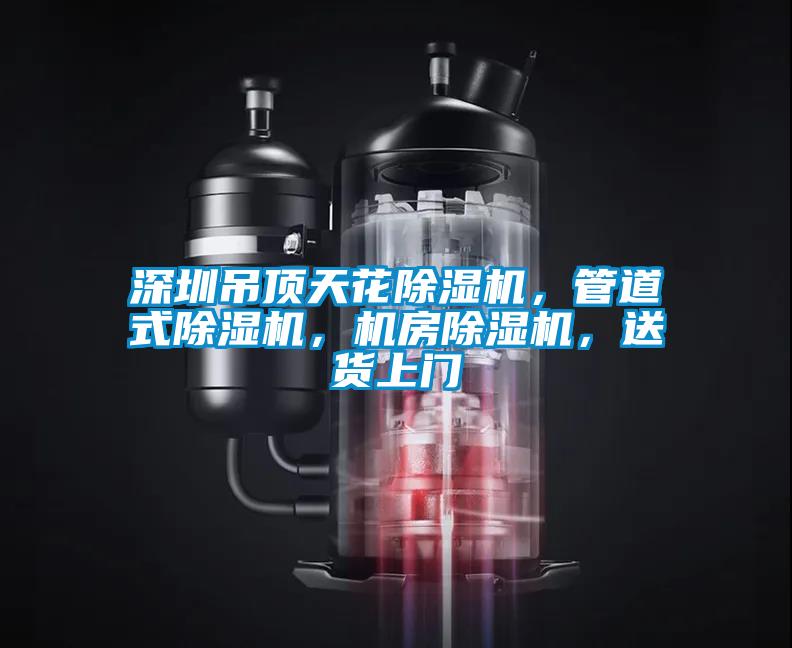 深圳吊頂天花除濕機(jī)，管道式除濕機(jī)，機(jī)房除濕機(jī)，送貨上門