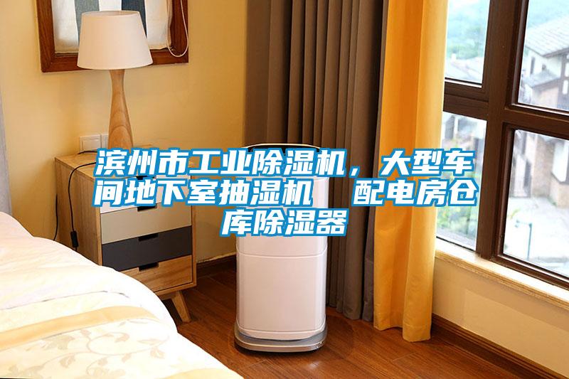 濱州市工業(yè)除濕機(jī)，大型車間地下室抽濕機(jī)  配電房倉(cāng)庫除濕器