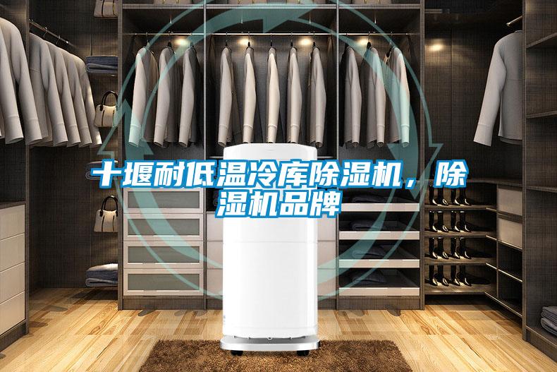 十堰耐低溫冷庫除濕機(jī)，除濕機(jī)品牌