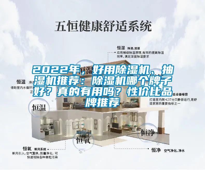 2022年，好用除濕機、抽濕機推薦：除濕機哪個牌子好？真的有用嗎？性價比品牌推薦