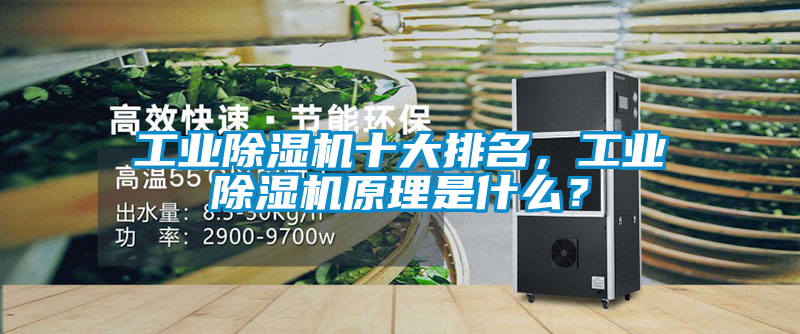 工業(yè)除濕機十大排名，工業(yè)除濕機原理是什么？