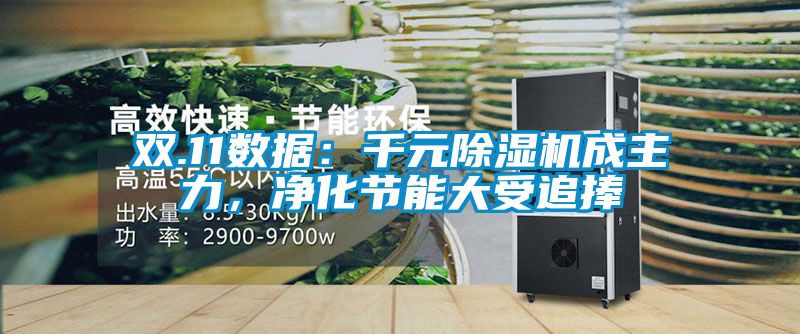 雙.11數據：千元除濕機成主力，凈化節能大受追捧