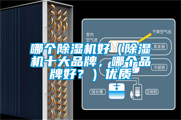 哪個除濕機好（除濕機十大品牌，哪個品牌好？）優(yōu)質(zhì)