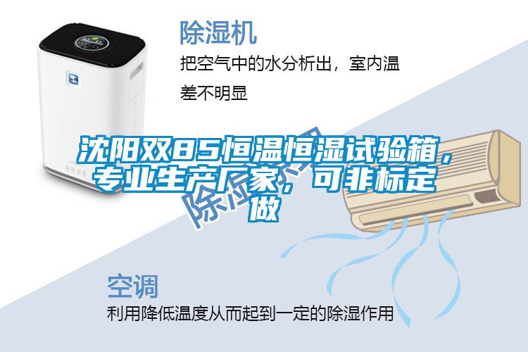 沈陽雙85恒溫恒濕試驗箱，專業生產廠家，可非標定做