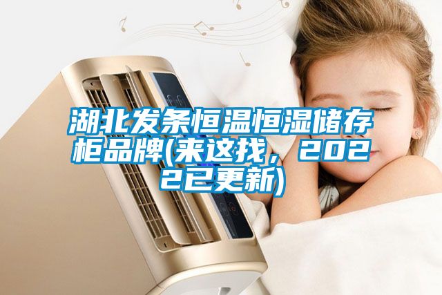 湖北發(fā)條恒溫恒濕儲(chǔ)存柜品牌(來這找，2022已更新)