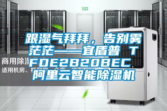 跟濕氣拜拜，告別霧茫茫——宜盾普 TFDE2B20BEC 阿里云智能除濕機