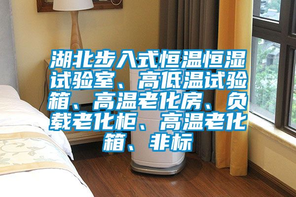 湖北步入式恒溫恒濕試驗室、高低溫試驗箱、高溫老化房、負載老化柜、高溫老化箱、非標