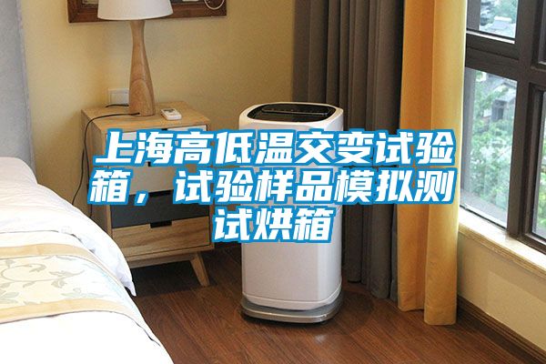 上海高低溫交變試驗箱，試驗樣品模擬測試烘箱