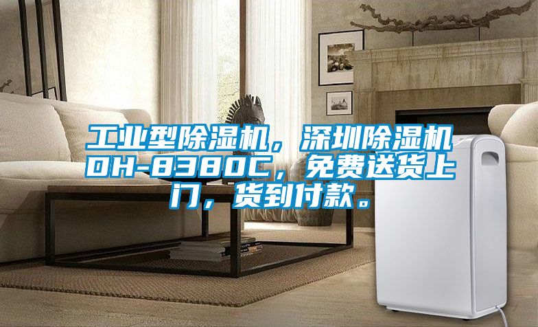 工業型除濕機，深圳除濕機DH-8380C，免費送貨上門，貨到付款。