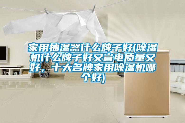 家用抽濕器什么牌子好(除濕機什么牌子好又省電質量又好，十大名牌家用除濕機哪個好)