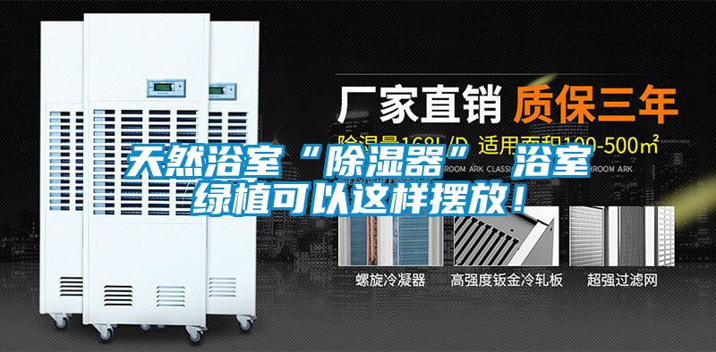 天然浴室“除濕器” 浴室綠植可以這樣擺放！