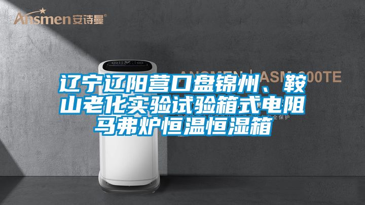 遼寧遼陽營口盤錦州、鞍山老化實驗試驗箱式電阻馬弗爐恒溫恒濕箱
