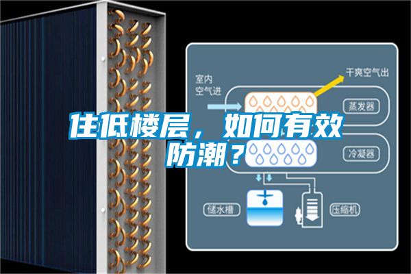 住低樓層,如何有效防潮?
