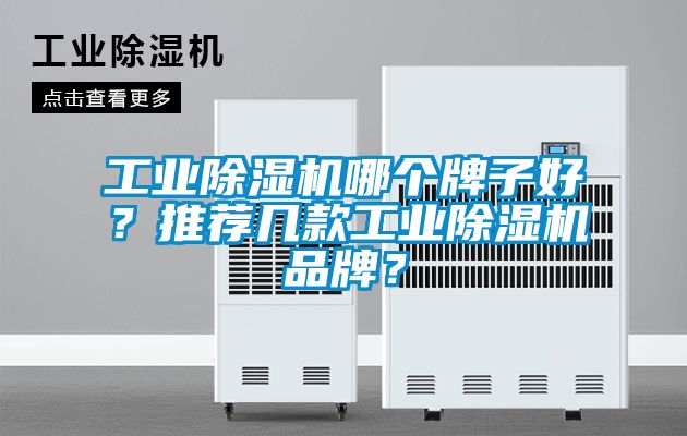 工業除濕機哪個牌子好？推薦幾款工業除濕機品牌？