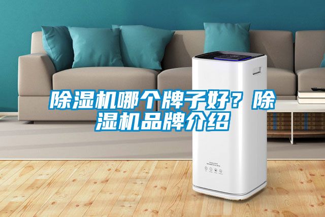 除濕機哪個牌子好？除濕機品牌介紹