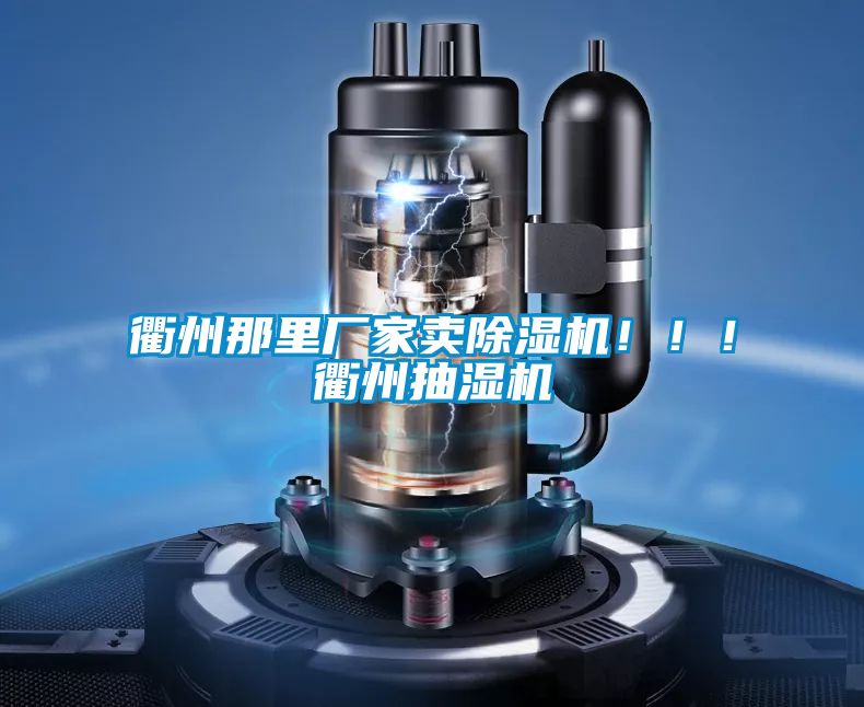 衢州那里廠家賣除濕機?。。♂橹莩闈駲C