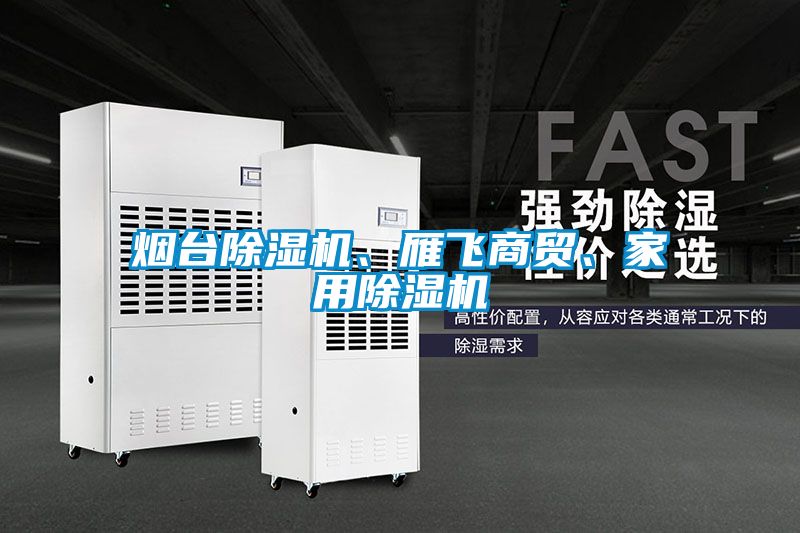 煙臺除濕機、雁飛商貿、家用除濕機