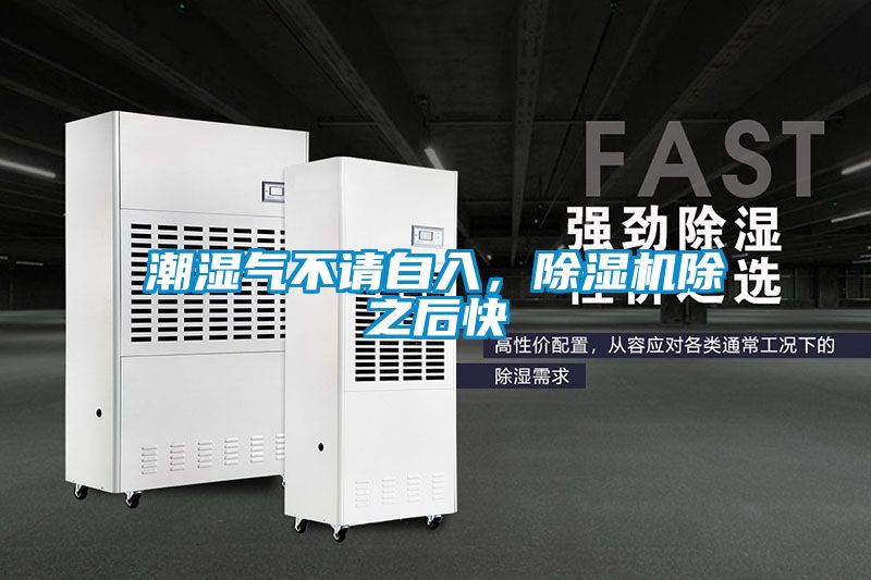 潮濕氣不請自入，除濕機(jī)除之后快