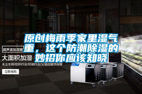 原創梅雨季家里濕氣重，這個防潮除濕的妙招你應該知曉