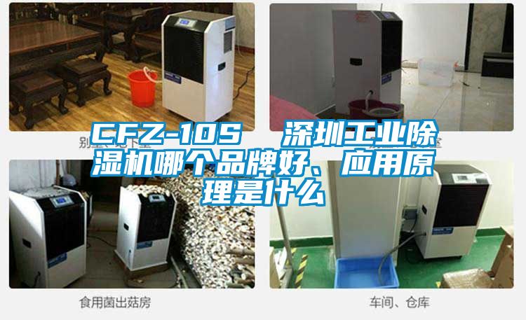 CFZ-10S  深圳工業(yè)除濕機(jī)哪個品牌好、應(yīng)用原理是什么